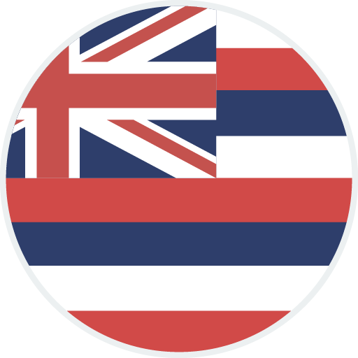 Hawaii state flag