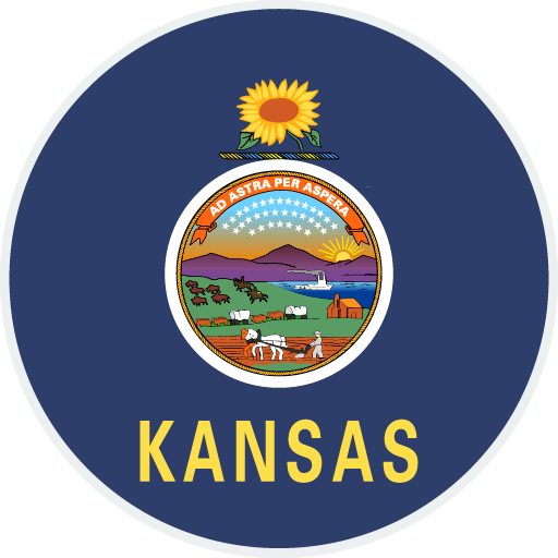 Kansas state flag