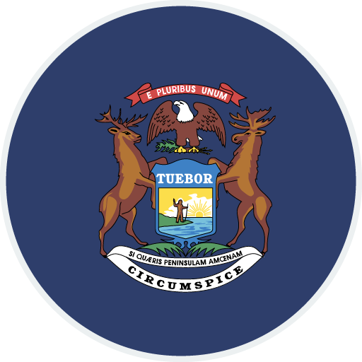 Michigan state flag