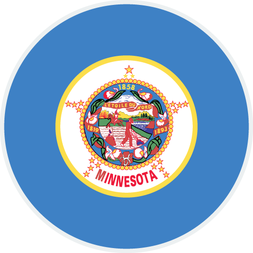 Minnesota state flag
