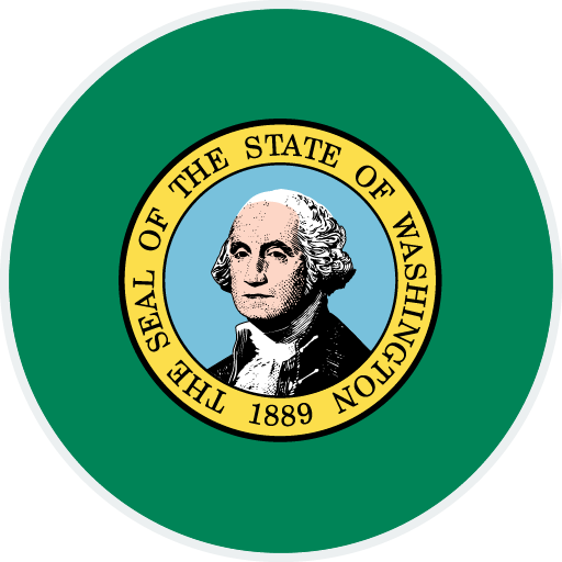 Washington state flag